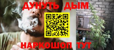 шишки Новокубанск