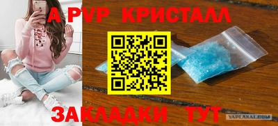шишки Новокубанск